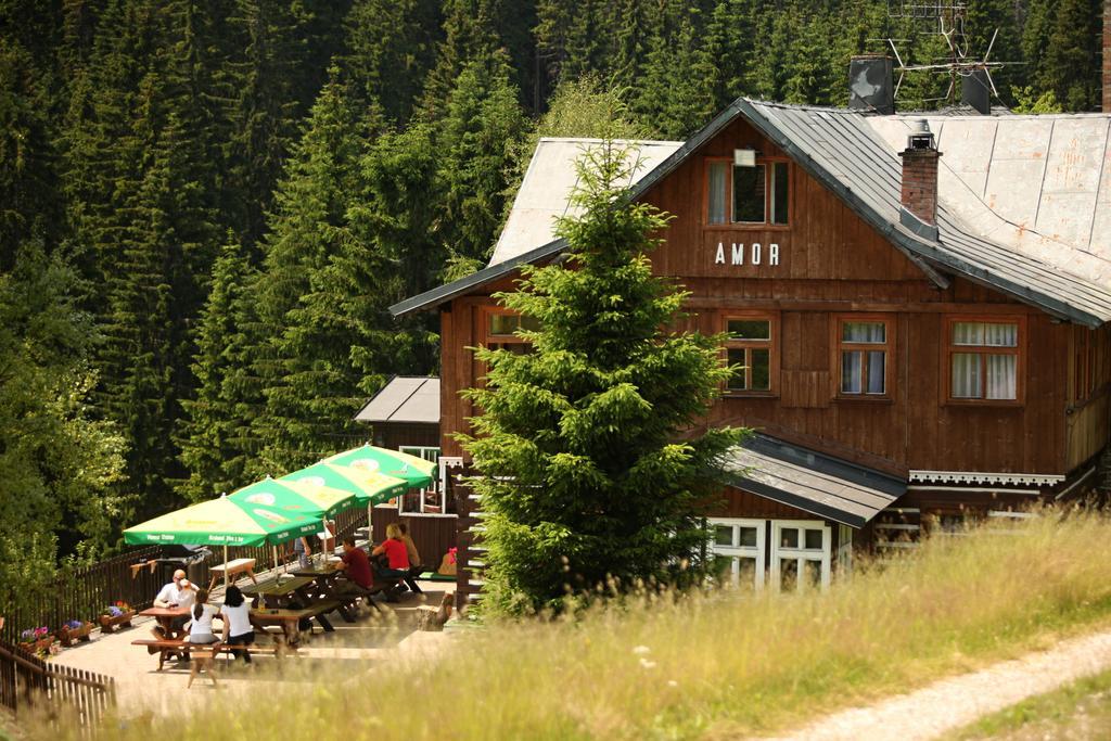 阿莫尔山区小屋酒店 派克波特斯耐兹库 外观 照片